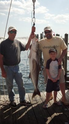 Three people on a dock pose with a large fish hanging from a scale, with water and boats in the background.